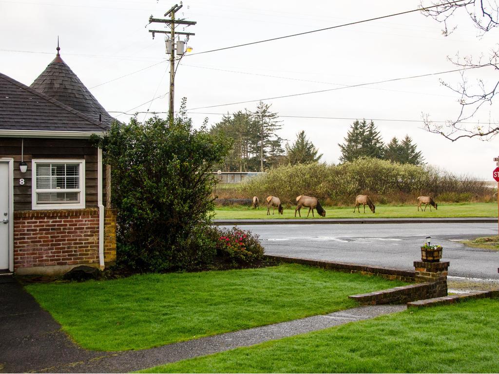 Ecola Creek Lodge Cannon Beach Eksteriør billede