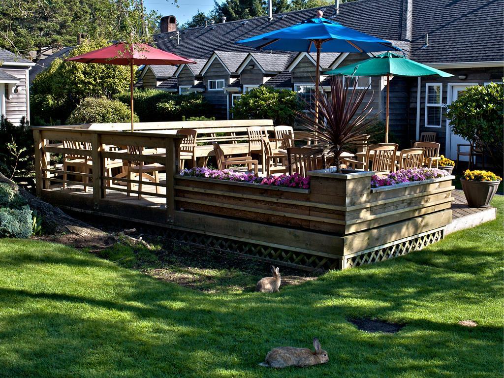 Ecola Creek Lodge Cannon Beach Eksteriør billede